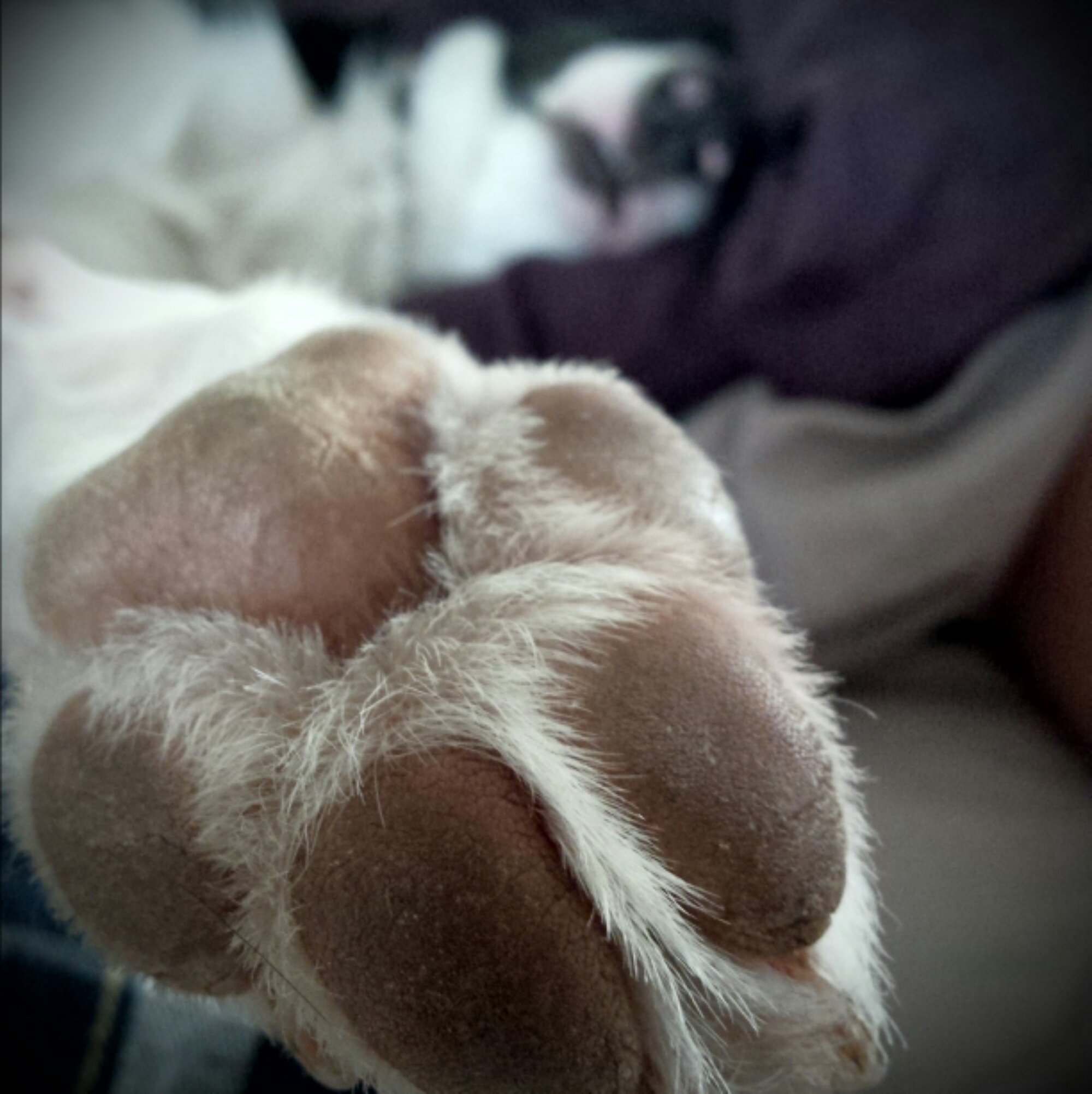 Saturday Mornings With Stella