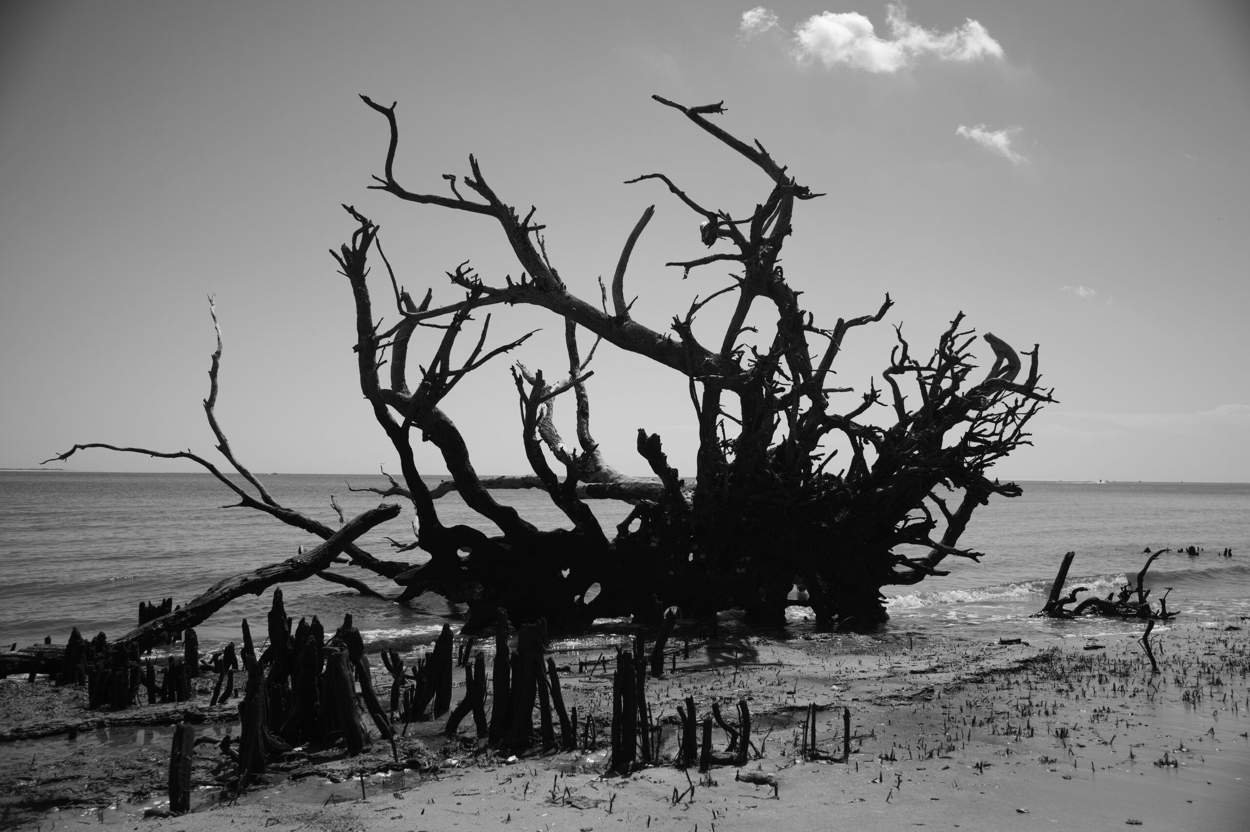Photography on Boneyard Beach with Leica